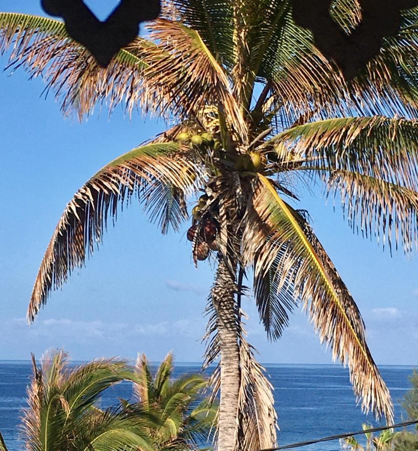 Le Reve Tropical 974 Διαμέρισμα Trois Bassins Εξωτερικό φωτογραφία